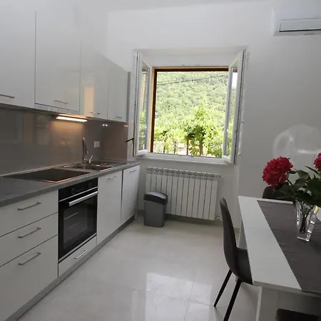 L * Raša
